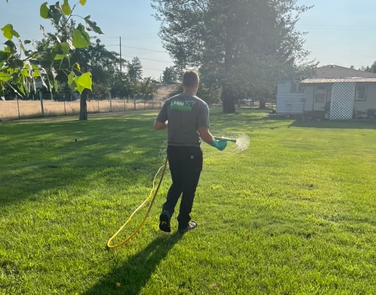 Lawn Treatment